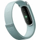 Фитнес-браслет Google Fitbit Air (Серо-голубой/Fog) в Костроме